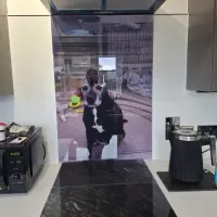 Image of customer's product in situ.